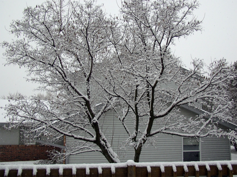 First Measurable Snow Fall of the Winter 12-18-2012
