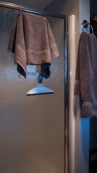 Shower Door
