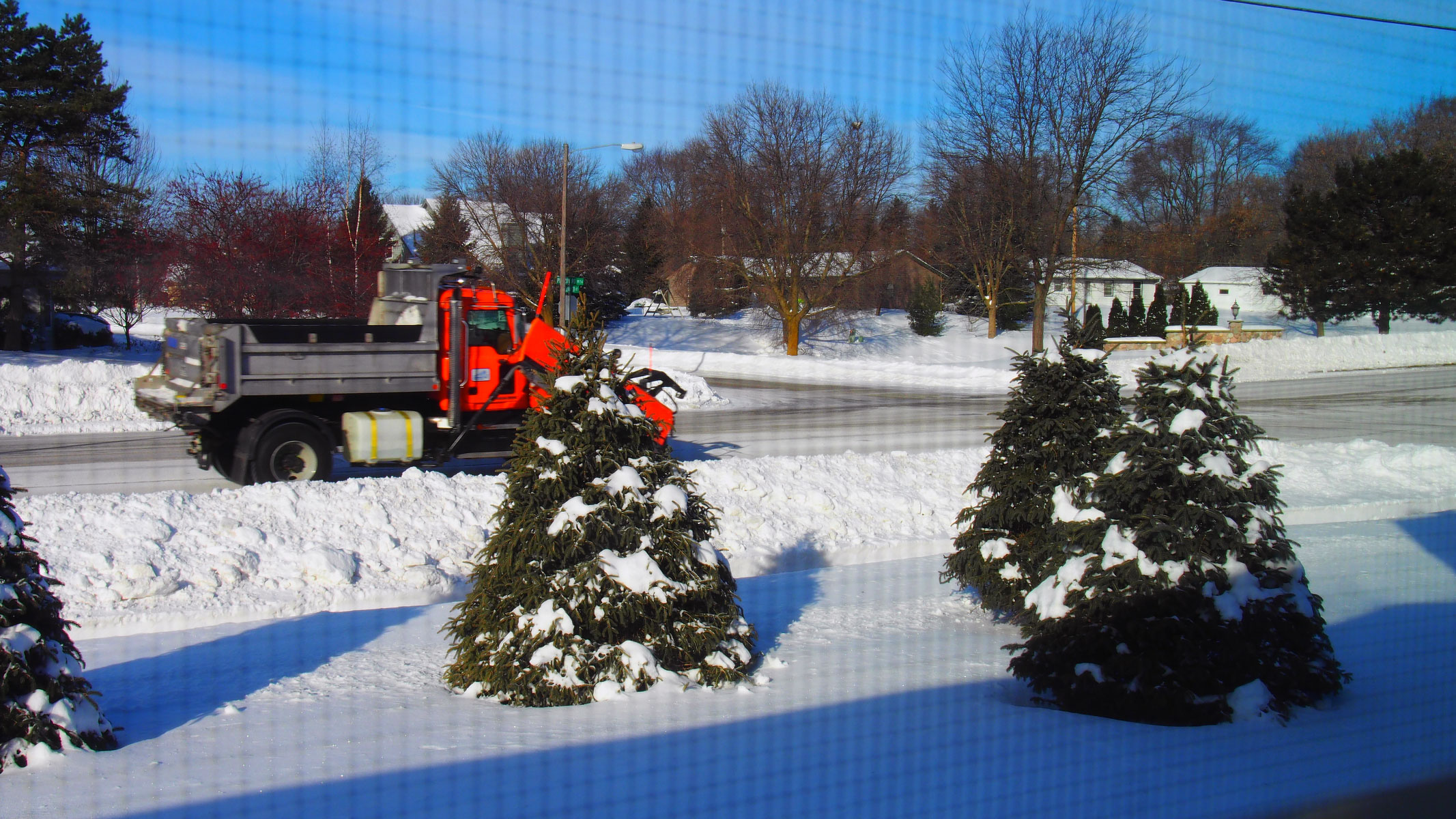 Looking Out Our Window.