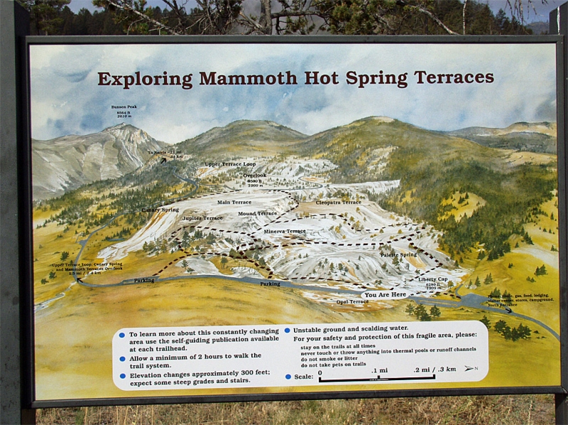 Exploring Mammoth Hot Springs Terraces