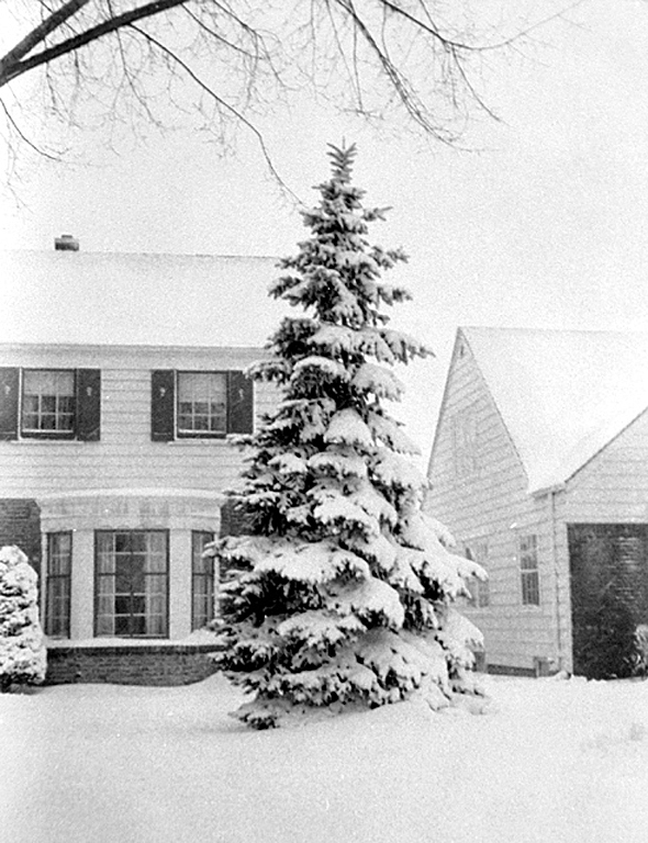 1957 - The Stangel Home