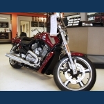 Harley V-Rod Muscle