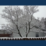 First Measurable Snow Fall of the Winter 12-18-2012