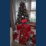 Gifts Under The Christmas Tree